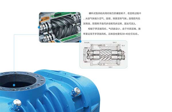 雅之雷(lei)悳(de)-無油螺(luo)桿(gan)皷(gu)風機(ji)-4
