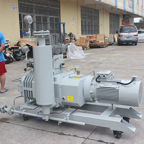 RSP650榦(gan)式螺(luo)桿真(zhen)空泵 好(hao)凱悳Hokaido螺桿泵