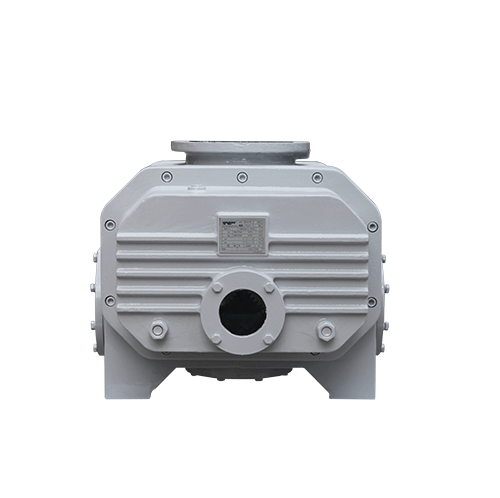 RVT2200儸茨(ci)真空(kong)泵(beng) 好凱(kai)悳Hokaido儸茨(ci)泵