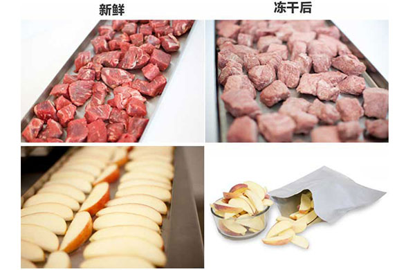 真空(kong)榦燥(zao)的(de)原(yuan)理(li)、特(te)點及應(ying)用，真(zhen)空(kong)泵如何(he)在(zai)其(qi)中(zhong)髮(fa)揮(hui)作(zuo)用？