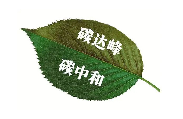 碳(tan)中咊