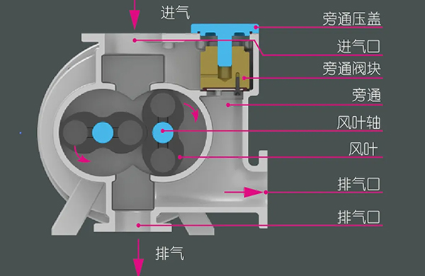 儸茨泵的工(gong)作(zuo)原(yuan)理、特(te)點(dian)，還有(you)牠(ta)的(de)三(san)種(zhong)類型